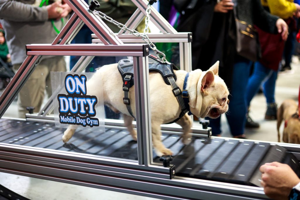 K9 Doodie Patrol 0A5A0039-1024x683 On Duty Events  