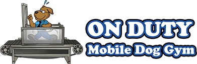 mobile dog treadmill at K9 Doodie Patrol